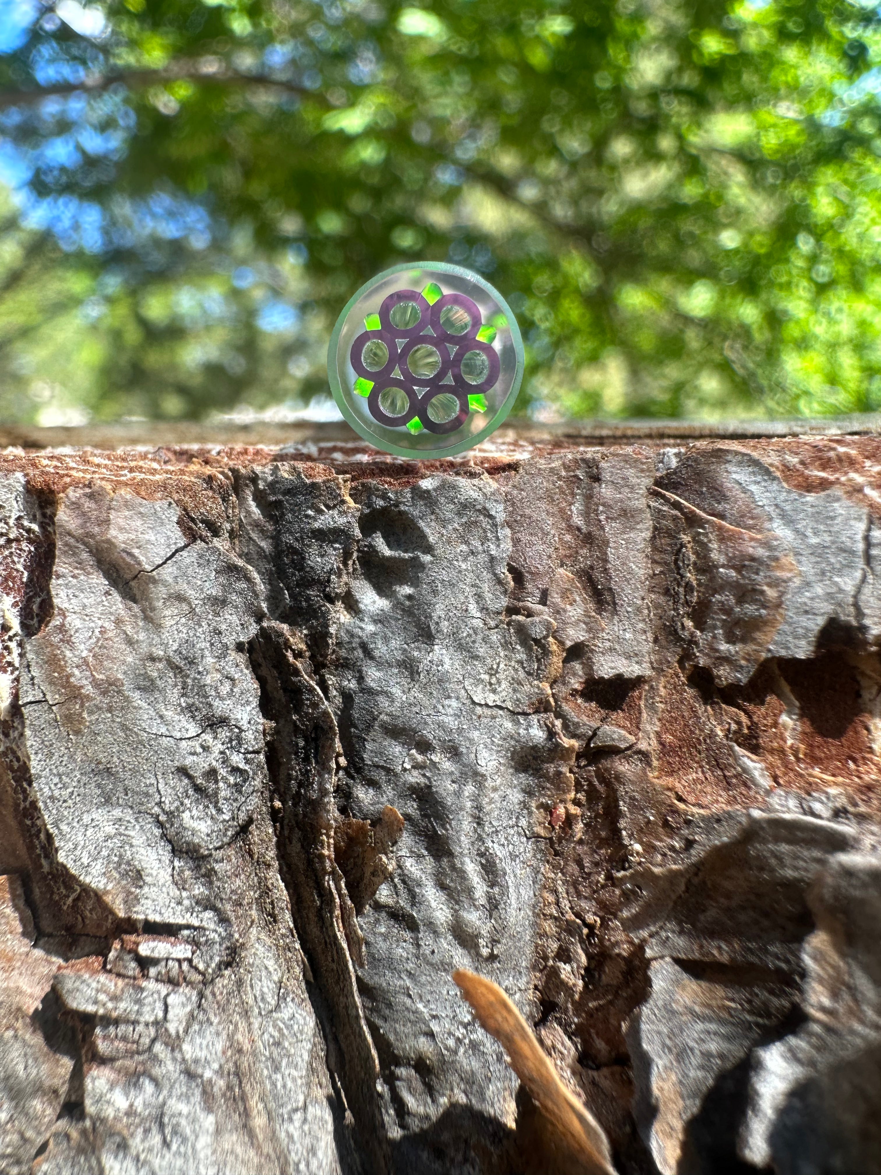 8mm shorty  L/ 36. #34